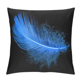 Personality  Feather Pillow Covers
