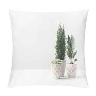 Personality  Beautiful Green Home Plants Growing In Decorative Pots On White  Pillow Covers