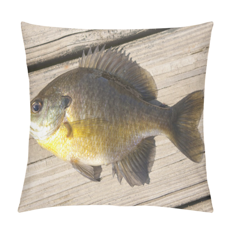 Personality  Small Bluegill On A Dock Pillow Covers