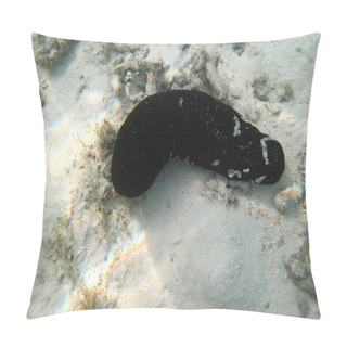 Personality  Black  Sea Cucumber Marine Animal In Indian Ocean Pillow Covers