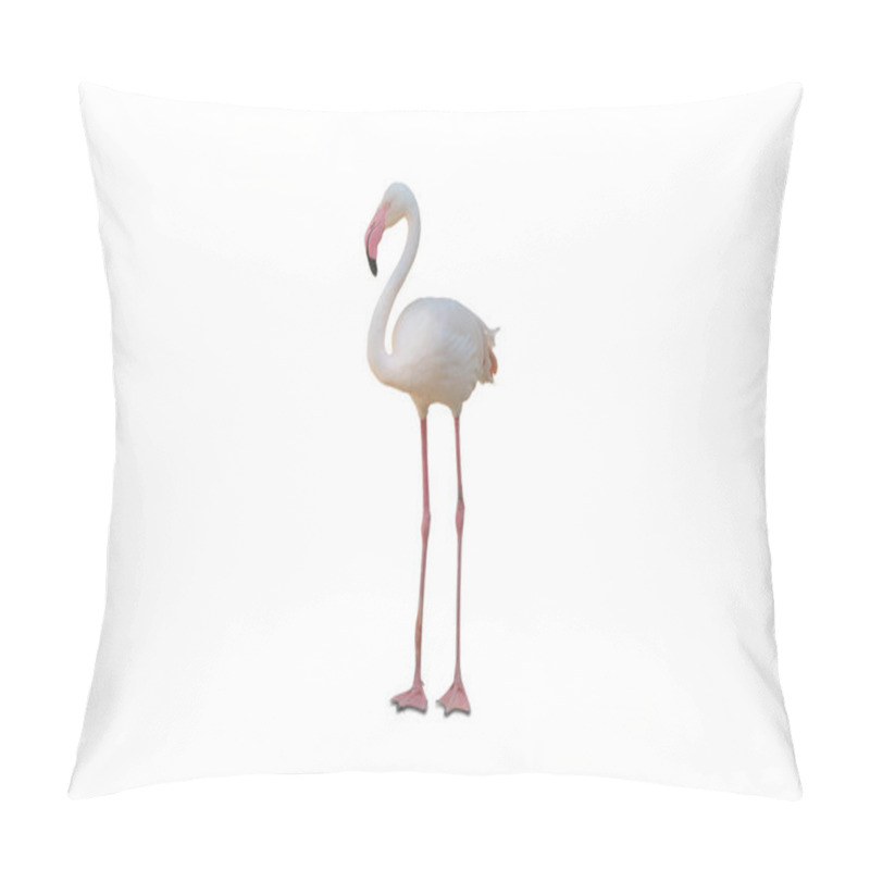 Personality  Poultry. Egret isolated on a white background pillow covers