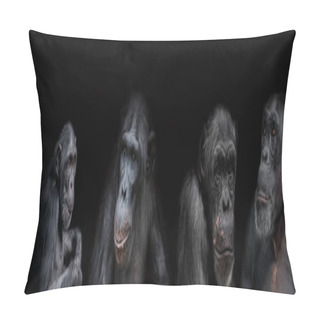 Personality  Banner Of Group Of Chimpanzees Portraits Isolated On Black Background Pillow Covers