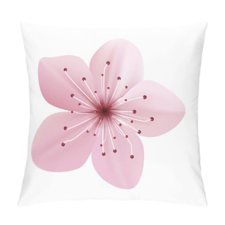 Personality  Vector Sakura Flowers Isolated Over White Spring Background Pillow Covers