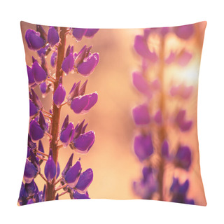 Personality  Purple Sunset Flowers Pillow Covers