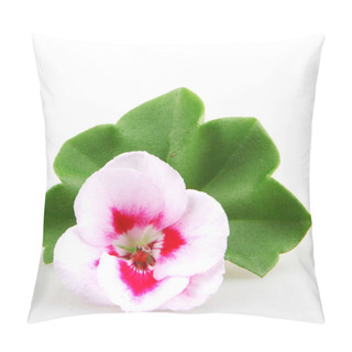 Personality  Pelargonium Flowers Pillow Covers