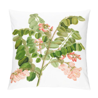 Personality  Flower Illustration. Digital Vintage-style Flower Art On A Textured White Background. Pillow Covers