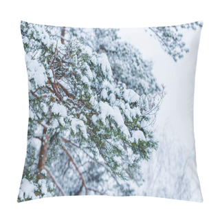 Personality  Close-up View Of Snow Covered Branches In Winter Park Pillow Covers