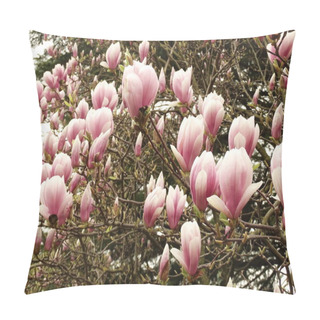 Personality  Pink White Magnolia Flowers Pillow Covers