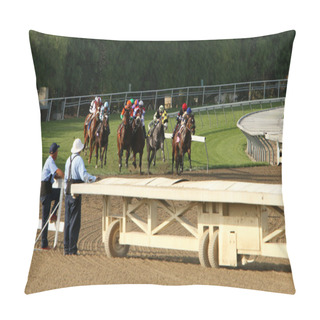 Personality  Thoroughbreds Storm Down The Hillside Turf Course Pillow Covers