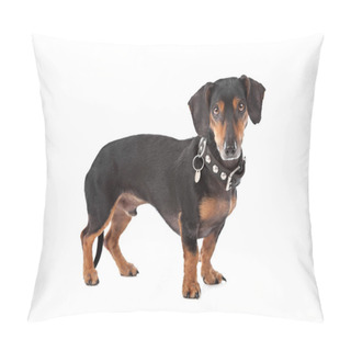 Personality  Dachshund Pillow Covers