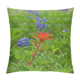 Personality  Vibrant Indian Paintbrush Growing Among The Lupine In Crested Bu Pillow Covers