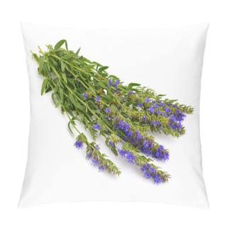 Personality  Hyssopus Officinalis Or Hyssop Pillow Covers