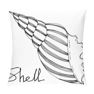 Personality  Vector Summer Beach Seashell Tropical Elements. Black And White Engraved Ink Art. Isolated Shell Illustration Element. Pillow Covers