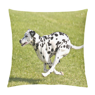 Personality  Dog Race Pillow Covers