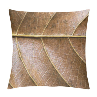 Personality  Autumn Leaf Closeup. Golden Leaf Texture Macro Photo. Dry Yellow Leaf Vein Pattern. Tree Leaf Surface. Fall Season Banner Template. Leafy Structure Macrophoto. Autumn Nature Detail. Dry Vein Ornament Pillow Covers