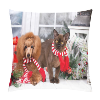 Personality   Puppy Toy Poodle Christmas Dog And Kitten Burmese Pillow Covers