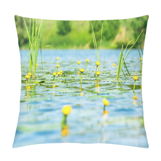 Personality  Water Lily Flowers On Pond  Pillow Covers
