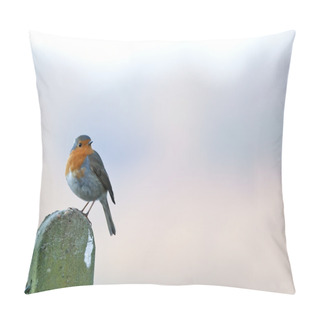 Personality  Robin On Post Copy Space Pillow Covers