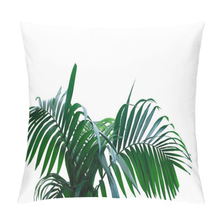 Personality  Dark Green Leaves Of Rainforest Palm Tree The Tropical Foliage Plant Isolated On White Background, Clipping Path Included. Pillow Covers