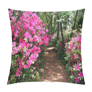 Personality  Forest Path, Trees And Hiking Trail Pillow Covers