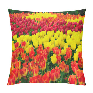 Personality  Rows Of Tulip Flowers Pillow Covers