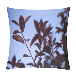 Personality  A Close-up View Of A Majestic Tree With Vibrant Red Leaves, Standing Tall And Proud In The Midst Of A Woodland Setting. Pillow Covers