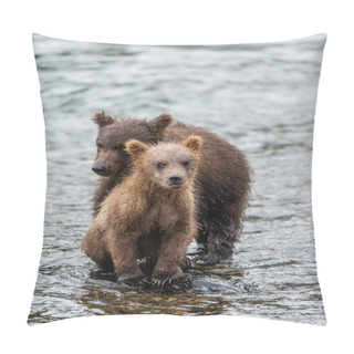 Personality  Cubs Eating Salmon Pillow Covers
