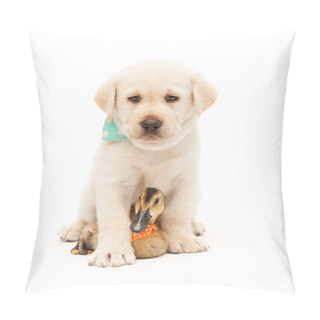 Personality  Buddies  Hanging Out - Young Puppy Dog And Cute Duckling Sitting Together, Isolated On White Pillow Covers