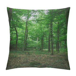 Personality  Path In Green Beautiful Forest In Germany In Summer Pillow Covers