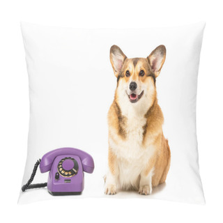 Personality  Welsh Corgi Pembroke Sitting Near Telephone Isolated On White Background Pillow Covers