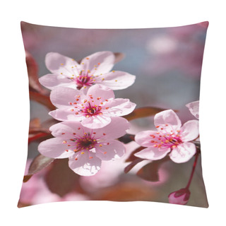 Personality  Pink Cherry Blossom Pillow Covers
