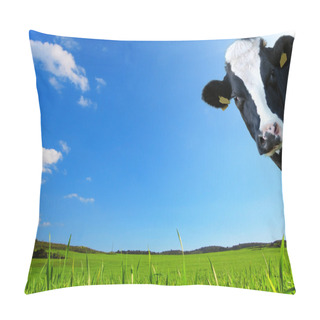 Personality  Cow Looks With A Background Of A Green Meadow And A Blue Sky Pillow Covers