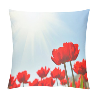 Personality  Red Tulips Under Sun Pillow Covers