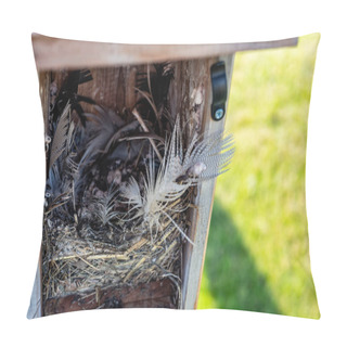 Personality  Open Bird House With An Empty Nest Of Feathers And Straw After Eggs Have Hatched And Young Have Left. . High Quality Photo Pillow Covers