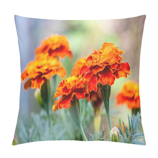 Personality  Marigold Close-up In The Garden Pillow Covers