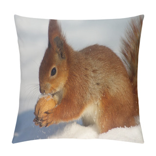 Personality  Red Squirrel With Nut Pillow Covers