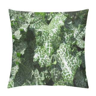 Personality  Mary Thistle In Herb Garden Pillow Covers