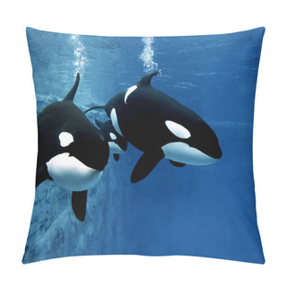 Personality  Killer Whale, Orcinus Orca, Female With Calf   Pillow Covers