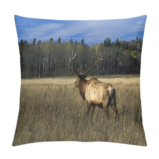 Personality  Bull Elk Pillow Covers