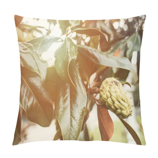 Personality  Magnolia Branch With Glossy Leaves And Cone Pillow Covers