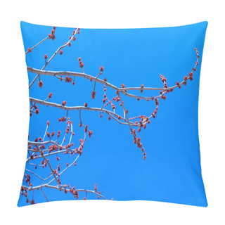 Personality  Maple Buds On The Background Of Vibrant Blue Sky. Beautiful Spring Scene With Maple Red Buds And Colorful Blue Sky. Spring Scenic View With Red Buds On Maple Tree Branches. Blooming Branches Of Maple Tree During Spring Time. Pillow Covers
