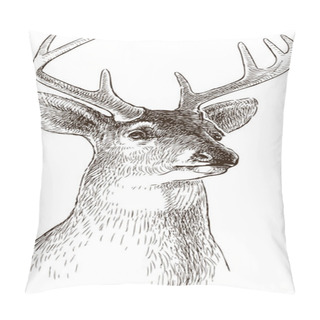Personality  Head Of An Young Deer Pillow Covers