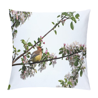 Personality  Cedar Waxwing Singing In The Spring. Pillow Covers