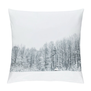 Personality  Landscape Of Snowy Carpathian Mountains And Forest In Winter Pillow Covers