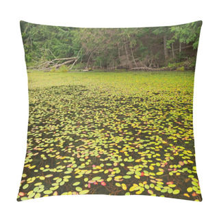Personality  Water Shield Plants Covering The Lake On West Bear Lake In The Sylvania Wilderness In Michigan Pillow Covers