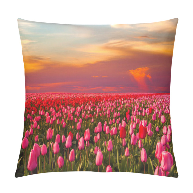 Personality  Colorful field of tulips, Netherlands. Keukenhof park, Holland. pillow covers