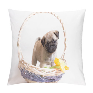Personality  Little Fawn Puppy Of A Pug Breed Stands In A Basket With A Flowe Pillow Covers