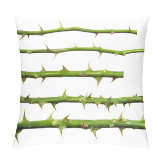 Personality  Stem Of Rose Bush With Thorns On An Isolated White Background, S Pillow Covers