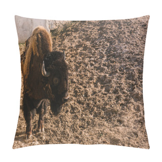 Personality  Closeup View Of Bison Grazing On Ground At Zoo Pillow Covers