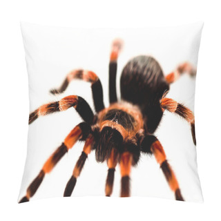 Personality  Close Up View Of Black And Red Hairy Spider Isolated On White Pillow Covers
